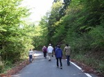 0509 春埜山の大杉 020.jpg