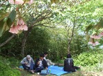 0509 春埜山の大杉 060.jpg