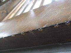 2008_08300008.JPG