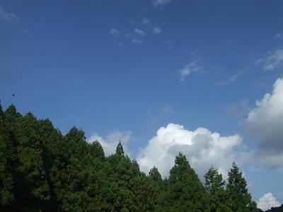2008_09210048.JPG