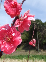 2009_0329 040.jpg
