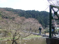 2009_0329 074.jpg
