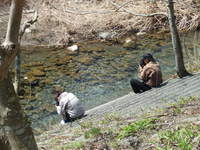 2009_0329 075.jpg