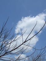 2009_0329 076.jpg