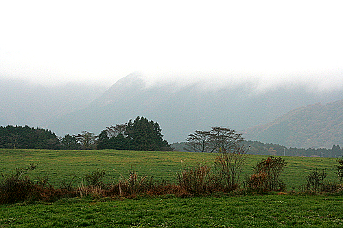 IMG_1567.jpg