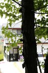 _MG_8410.JPG